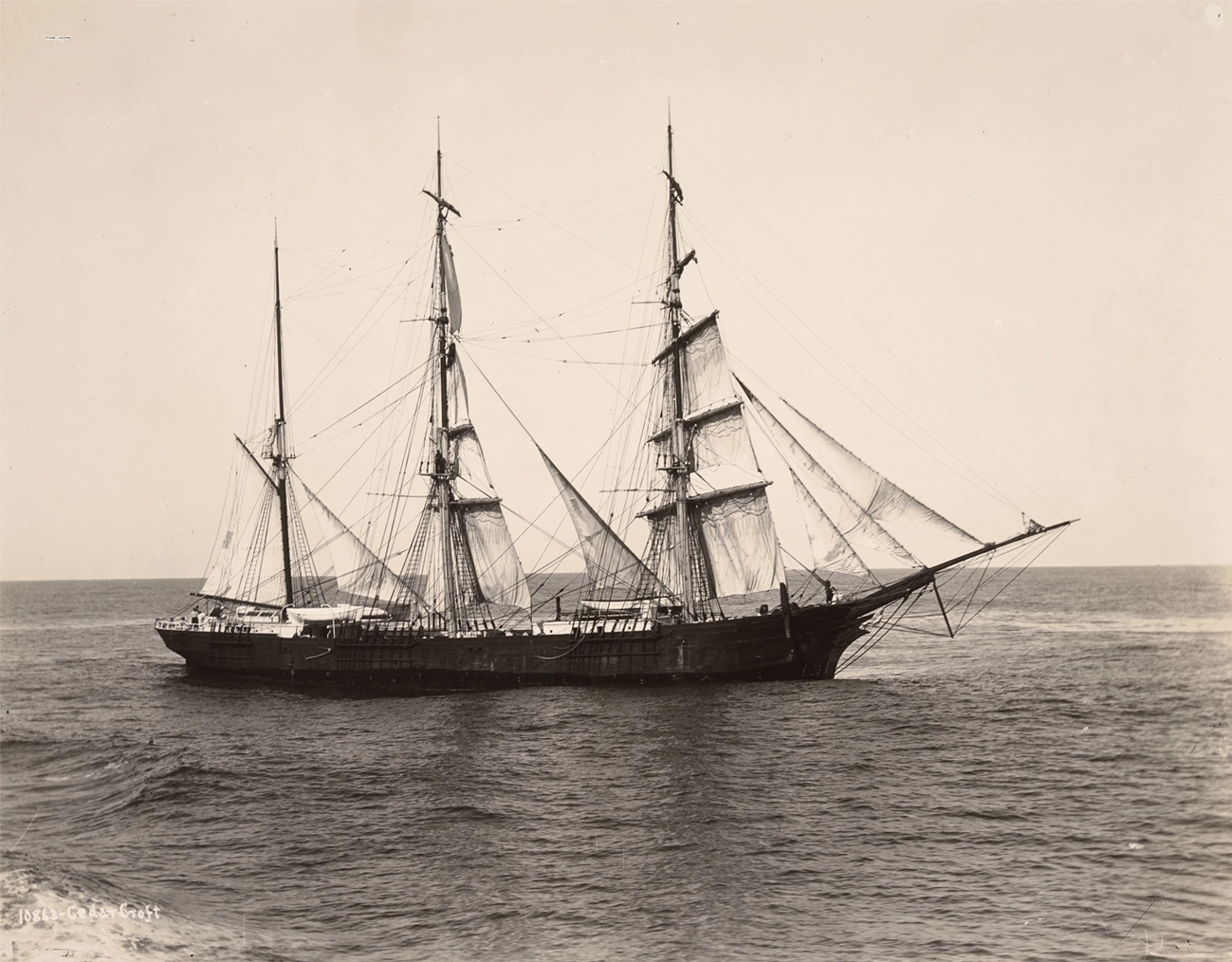 Barque